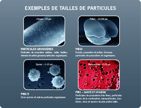 fine particles page web FR